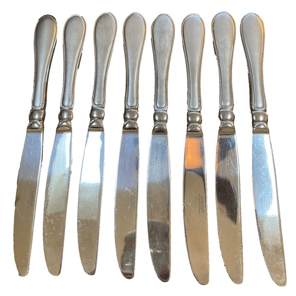 Cambridge Stainless Steel Dinner Knife (8) Evanston Pattern Frosted Outline Edge - Picture 1 of 7